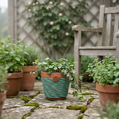 Trailblazer© | Fern Hollow© 6” Terra Cotta Planter