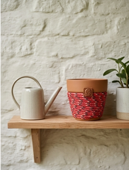 The Guardian Knot™ Planter Lightbearer© | Wildflower Ember© 6" Terra Cotta Planter