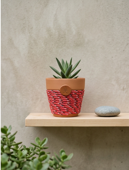 Joy Keeper© | Wildflower Ember© 6" Terra Cotta Planter